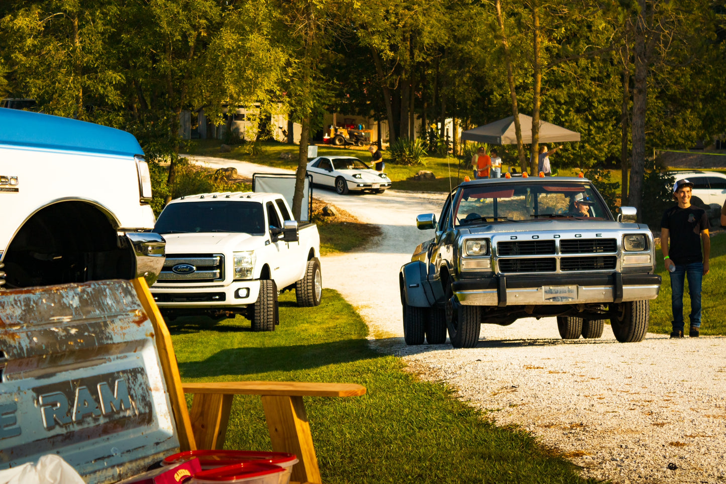 Fine Line Show N Shine